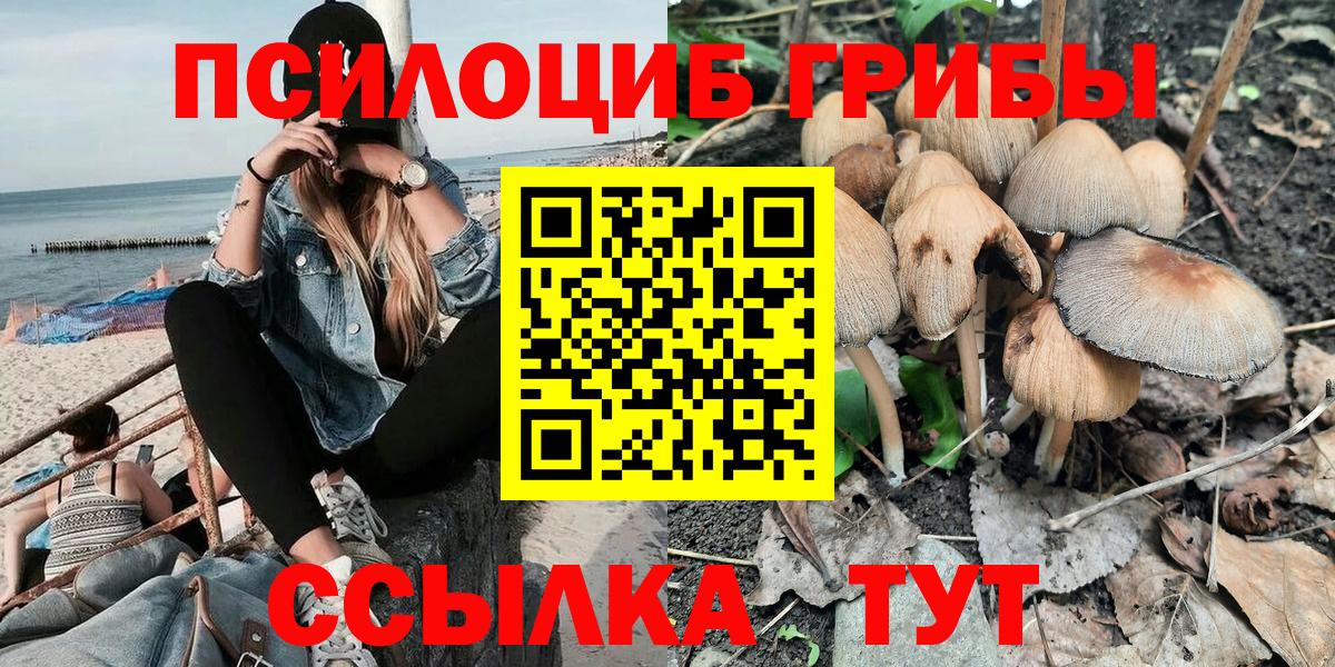 Саранск  купить наркоту  Вход с VPN  Псилоцибиновые грибы мицелий  Псилоцибиновые грибы Psilocybe 