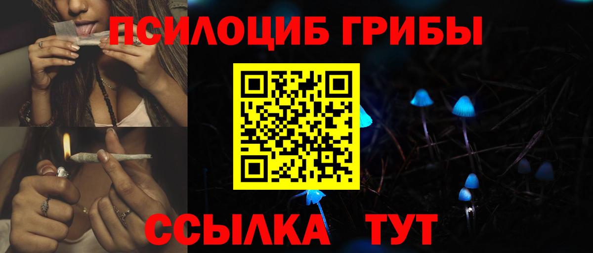 Псилоцибиновые грибы прущие грибы Саранск